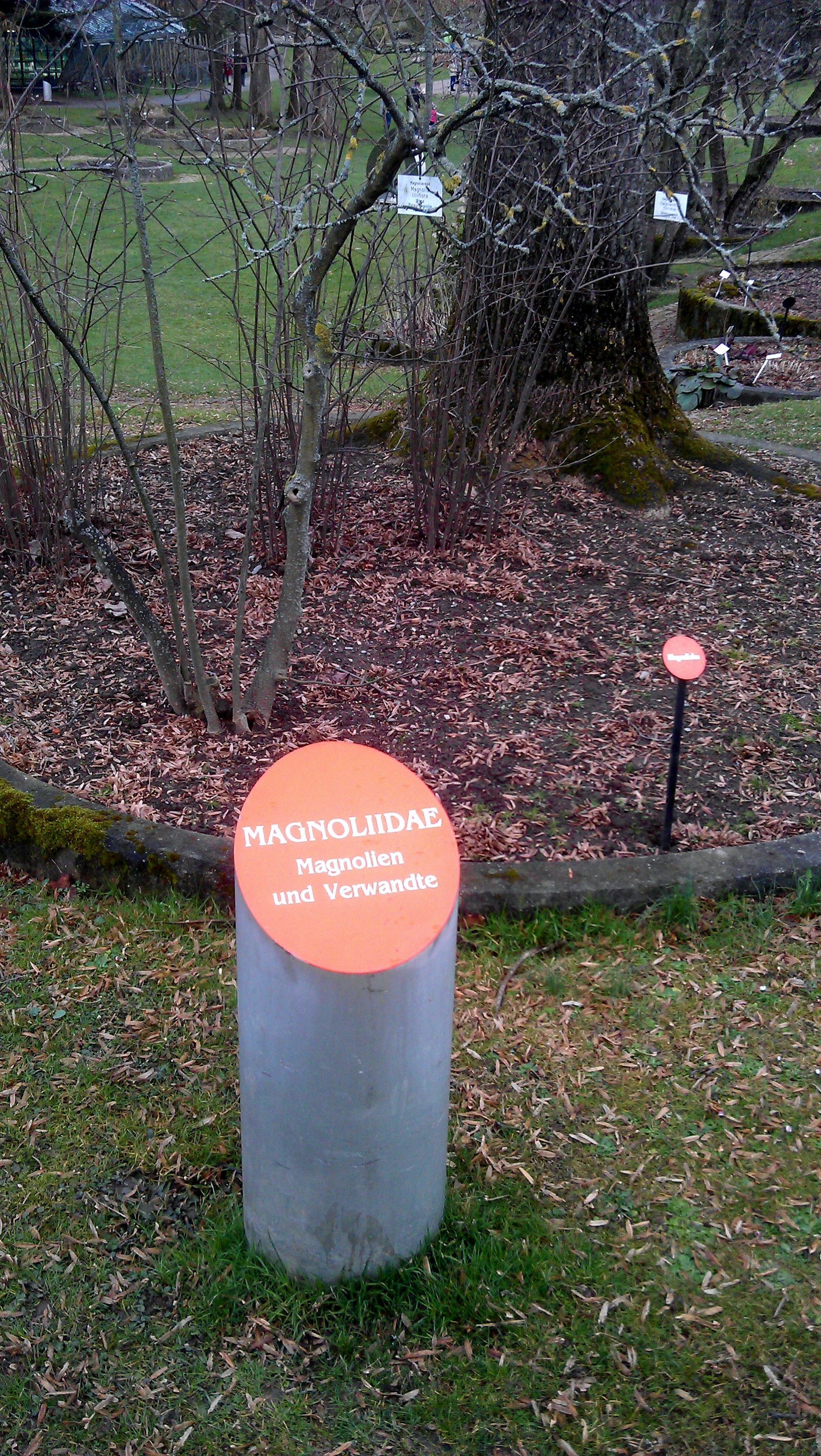 IMAG0141