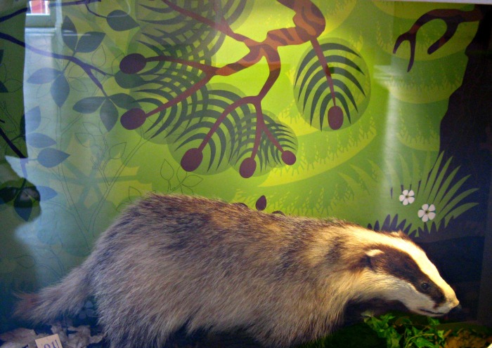 BadgerBackground