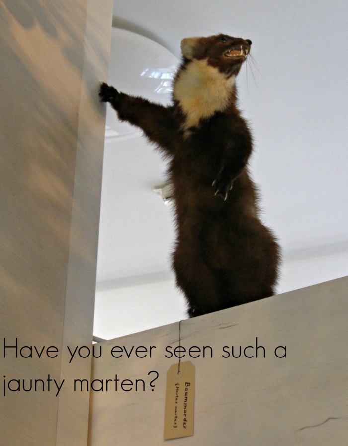 JauntyMarten