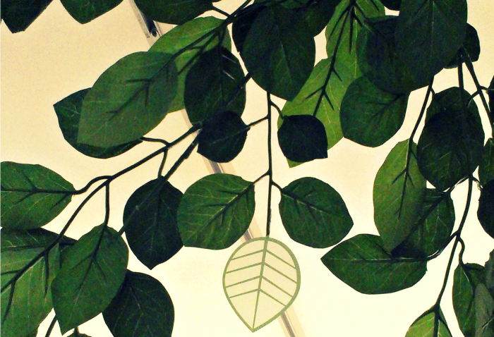 Leaves